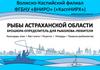 Рыбы Астраханской области. Брошюра-определитель для рыболова-любителя