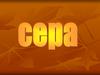 Сера