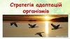 Стратегія адаптацій організмів. Сезонні міграції птахів. Листовидка – майстер маскування