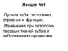 Пульпа зуба: гистогенез, строение и функции. Изменения при патологии твердых тканей зубов и заболеваниях организма. Лекция №1