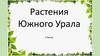 Растения Южного Урала