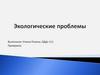 Экологические проблемы