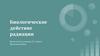 Биологическое действие радиации