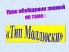Тип Моллюски. Обобщение