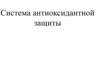 Система антиоксидантной защиты