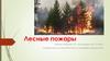 Лесные пожары