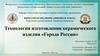 Технология изготовления керамического изделия «Города России»