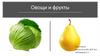 Овощи и фрукты. Верно-неверно