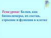 Белки, как биополимеры, их состав, строение и функции в клетке