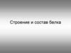 Строение и состав белка