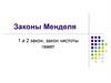 Законы Менделя: 1 и 2 закон, закон чистоты гамет