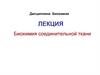 Биохимия соединительной ткани