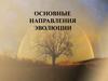 Основные направления эволюции
