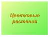 Цветковые растения