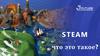 STEAM - офлайн