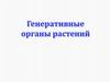 Генеративные органы растений