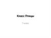 Класс Птицы  (7 класс)