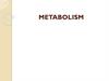 Metabolism