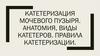 Катетеризация мочевого пузыря. Анатомия, виды катетеров. Правила катетеризации