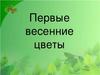 Первые весенние цветы