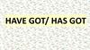 Have got/ has got