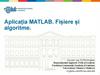 Aplicația MATLAB. Fișiere și algoritme