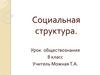 Социальная структура. Урок обществознания. 8 класс