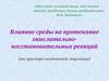 Влияние среды на протекание окислительно-восстановительных реакций (на примере соединений марганца)