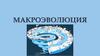 Макроэволюция органического мира