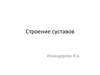 Строение суставов