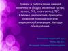 Травмы и повреждения нижней конечности (бедро, коленный сустав, голень, ГСС, кости стопы), ТБС