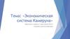 Экономическая система Камеруна