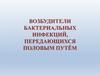 Возбудители бактериальных инфекций, передающихся половым путём