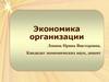 Экономика организации. Коммерческая организация