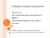Обмен липидов. Часть 1. Ассимиляция пищевого жира липопротеины плазмы крови