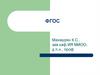 ФГОС. Основные задачи языкового образования в 2011-2012 гг