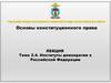 Институты демократии в Российской Федерации  (тема 2.4)