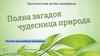 Экологическая оn-line викторина "Полна загадок чудесница природа"