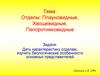 Отделы: Плауновидные, Хвощевидные, Папоротниковидные