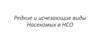 Редкие и исчезающие виды Насекомых в НСО