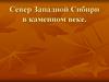 Север Западной Сибири в каменном веке