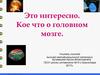 Это интересно. Кое что о головном мозге
