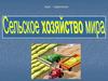 Сельское хозяйство мира. Растениеводство. Животноводство. Рыболовство