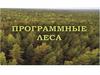 Программные леса