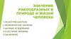 Значение ракообразных в природе и жизни человека