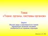 Ткани, органы, системы органов