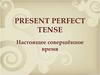 Present Perfect Tense. Grammar lesson