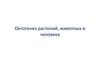 Онтогенез растений, животных и человека. Урок 9