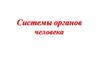 Системы органов человека