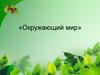 В царстве грибов. Окружающий мир